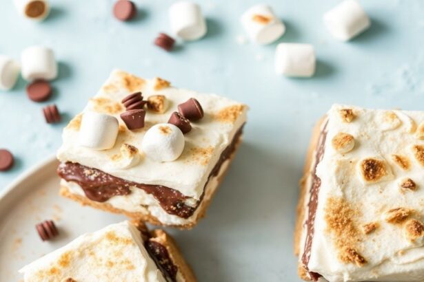 كيك س’mores آيسبوكس بدون خبز بارد، لذيذ ومبرد مع طبقات كريمية داكنة، Chill Out مع طعمها الغني
