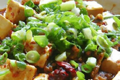 Fiery Flavors: Vegetarian Spicy Sichuan Mapo Tofu Guide