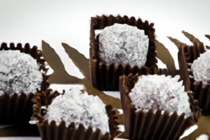 Indulgent Energy Boost: The Magic of Chocolate Coconut Fat Bombs