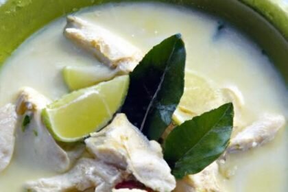Aromatic Chicken and Galangal Coconut Soup Delight